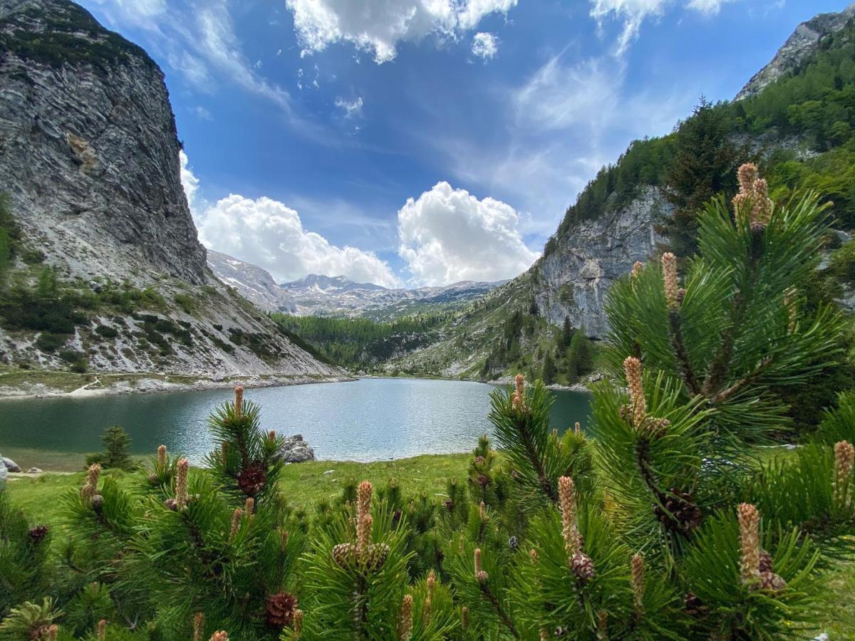 Isonzo Apartment Bovec Eksteriør bilde